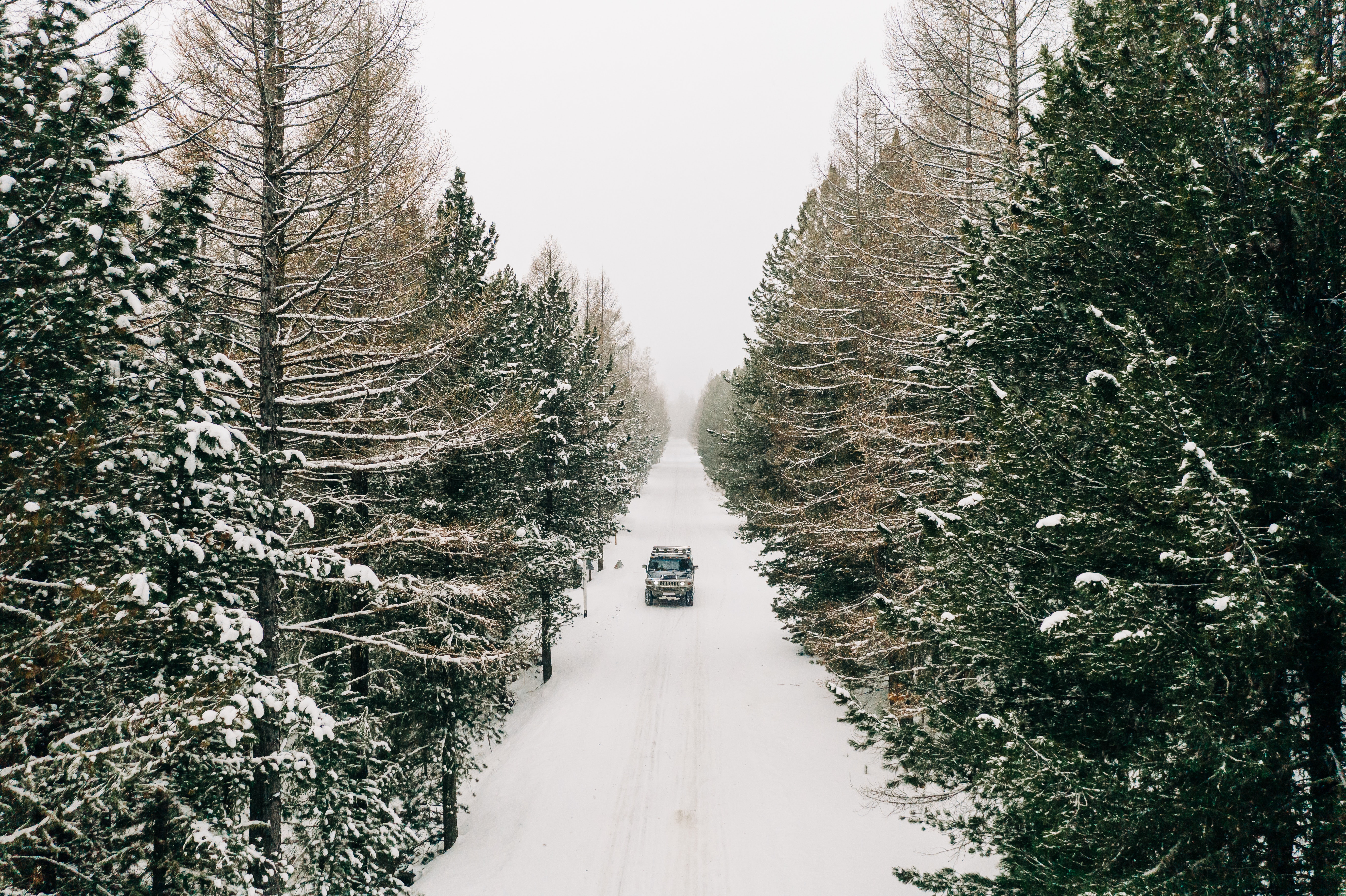 winter driving